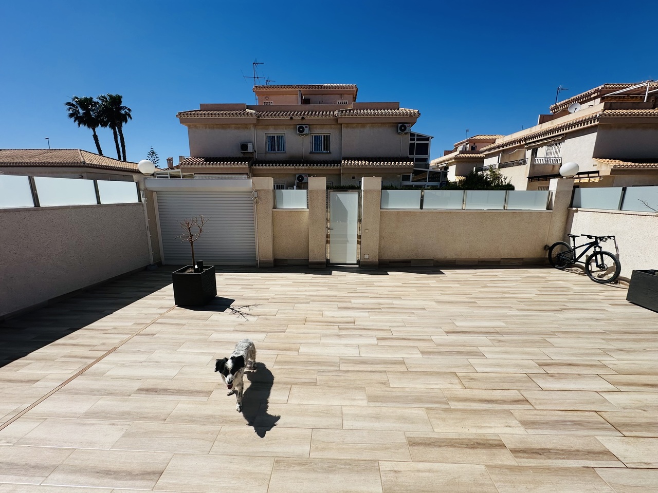 SWDF1922: Villa for sale in Playa Flamenca