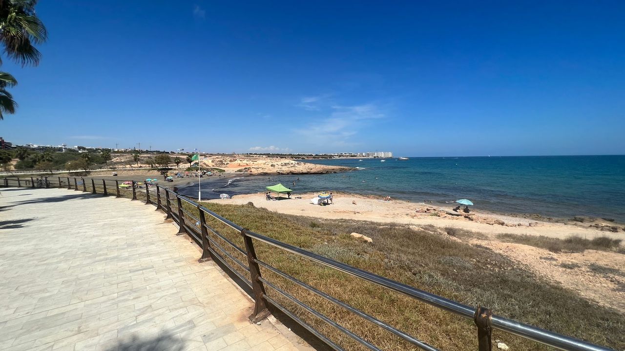 SWDF1915: Commercial for sale in Playa Flamenca